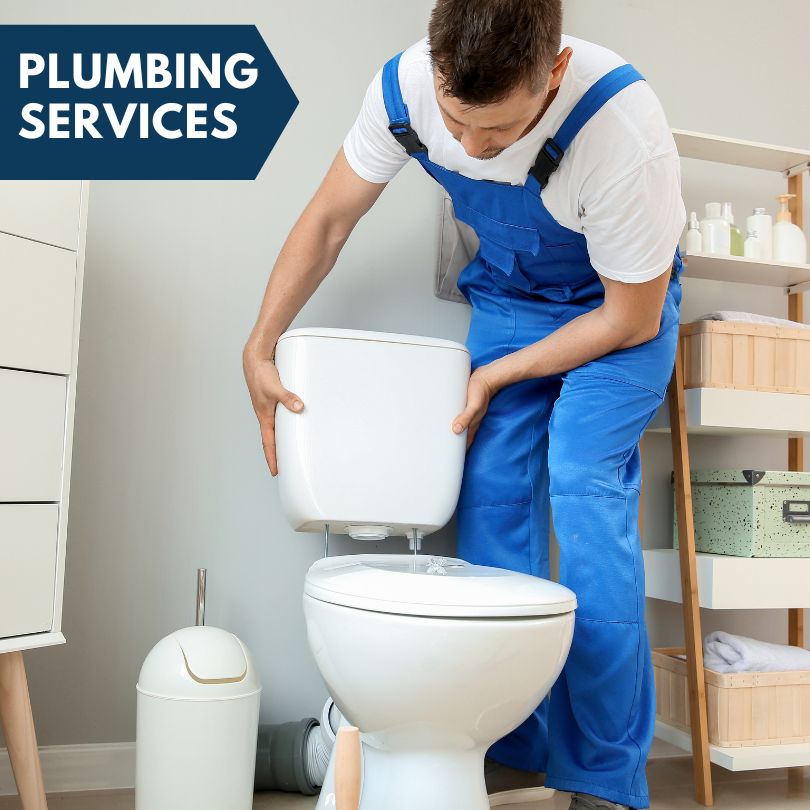 Plumbing Company in Lake, MI